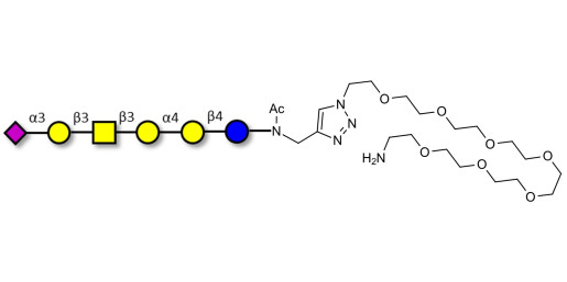 Stage-Specific Embryonic Antigen-4 hexaose (SSEA-4 hexaose) with free terminal amine (Linker-NH2 C)