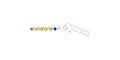 Stage-Specific Embryonic Antigen-4 hexaose (SSEA-4 hexaose) with free terminal amine (Linker-NH2 C)