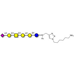 Stage-Specific Embryonic Antigen-4 hexaose (SSEA-4 hexaose) with free terminal amine (Linker-NH2 D)