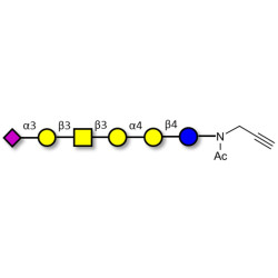 Stage-Specific Embryonic Antigen-4 hexaose (SSEA-4 hexaose) with terminal alkyne (Linker-CΞCH A)