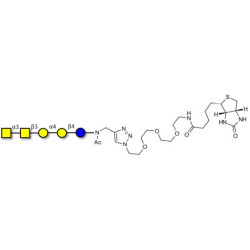 Forssman antigen pentaose linked to biotin (Linker-BT A)