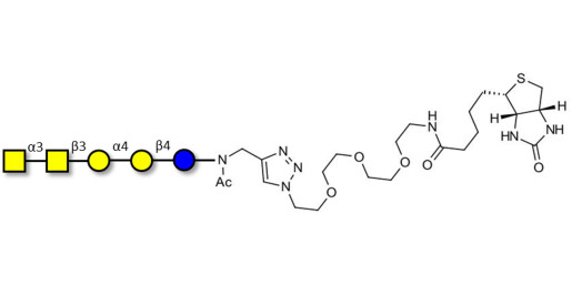 Forssman antigen pentaose linked to biotin (Linker-BT A)