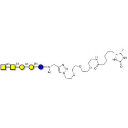 Forssman antigen pentaose linked to desthiobiotin (Linker-DBT-A)