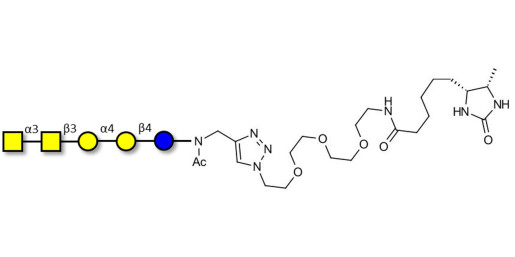 Forssman antigen pentaose linked to desthiobiotin (Linker-DBT-A)