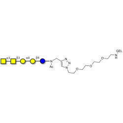 Forssman antigen pentaose grafted on gel for affinity chromatography (Linker-GEL A)