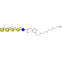 Forssman antigen pentaose with free terminal amine (Linker-NH2 B)