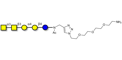 Forssman antigen pentaose with free terminal amine (Linker-NH2 B)