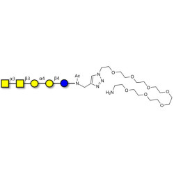 Forssman antigen pentaose with free terminal amine (Linker-NH2 C)