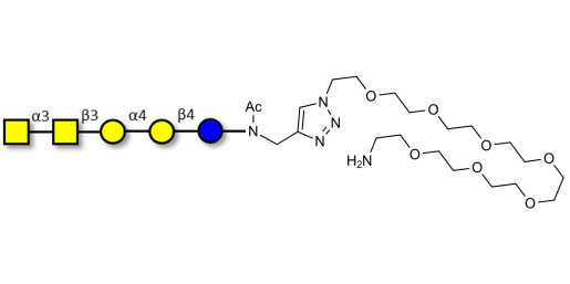 Forssman antigen pentaose with free terminal amine (Linker-NH2 C)