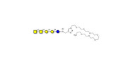Forssman antigen pentaose...