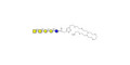 Forssman antigen pentaose with free terminal amine (Linker-NH2 C)