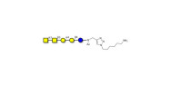 Forssman antigen pentaose...