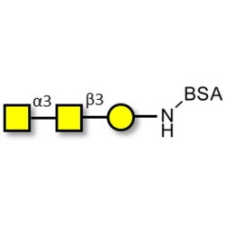 Forssman antigen triose grafted on BSA