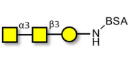 Forssman antigen triose...