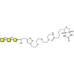 Forssman antigen triose linked to biotin (Linker-BT A)