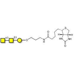 Forssman antigen triose linked to biotin (Linker-BT B)