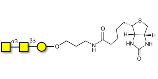 Forssman antigen triose linked to biotin (Linker-BT B)