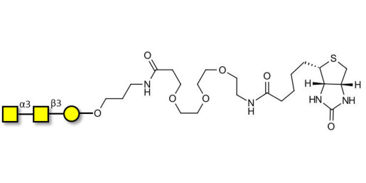 Forssman antigen triose linked to biotin (Linker-BT C)