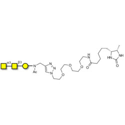 Forssman antigen triose linked to desthiobiotin (Linker-DBT-A)