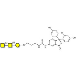 Forssman antigen triose linked to fluorescein (Linker-FLUO A)