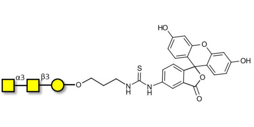Forssman antigen triose linked to fluorescein (Linker-FLUO A)