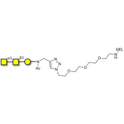 Forssman antigen triose grafted on gel for affinity chromatography (Linker-GEL A)