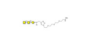 Forssman antigen triose...