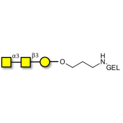 Forssman antigen triose grafted on gel for affinity chromatography (Linker-GEL B)