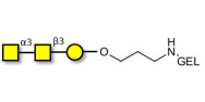 Forssman antigen triose...