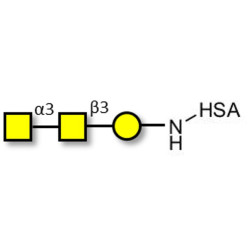 Forssman antigen triose grafted on HSA