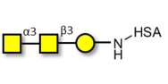 Forssman antigen triose...