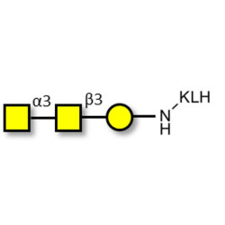 Forssman antigen triose grafted on KLH
