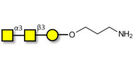 Forssman antigen triose...
