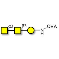 Forssman antigen triose grafted on OVA