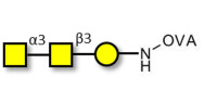 Forssman antigen triose...