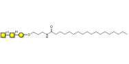 Forssman antigen triose...
