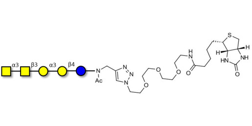 Isoforssman antigen pentaose linked to biotin (Linker-BT A)