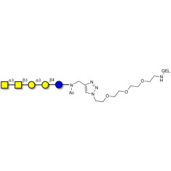 Isoforssman antigen pentaose grafted on gel for affinity chromatography (Linker-GEL A)