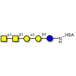Isoforssman antigen pentaose grafted on HSA