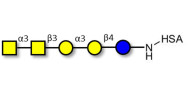 Isoforssman antigen...