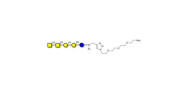 Isoforssman antigen...