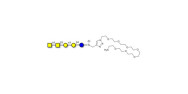 Isoforssman antigen...