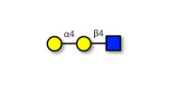 P1 antigen (>90% NMR)
