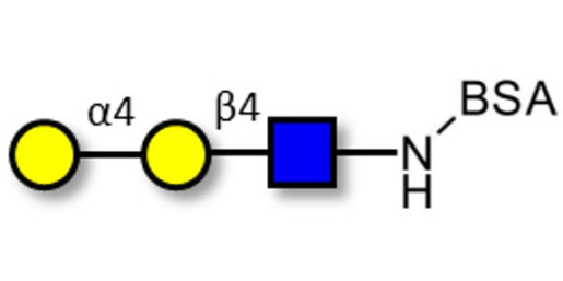 P1 antigen grafted on BSA - Globotriose analogue type 2