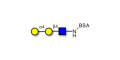P1 antigen grafted on BSA - Globotriose analogue type 2