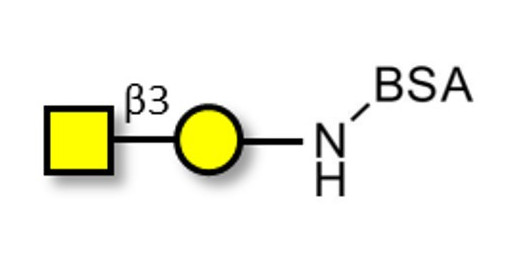 Gb4 Globoside terminal grafted on BSA