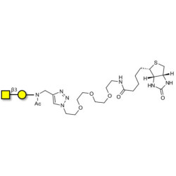 Gb4 Globoside terminal linked to biotin (Linker-BT A)