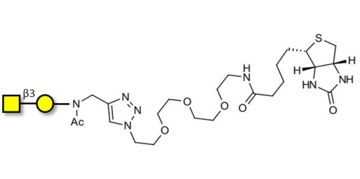 Gb4 Globoside terminal linked to biotin (Linker-BT A)