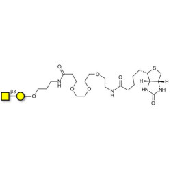 Gb4 Globoside terminal linked to biotin (Linker-BT C)