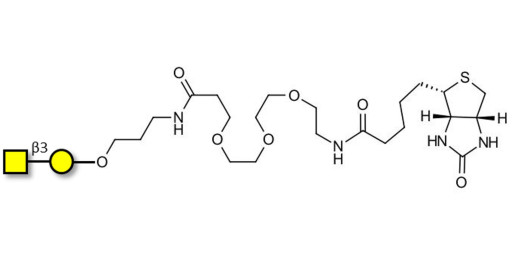 Gb4 Globoside terminal linked to biotin (Linker-BT C)
